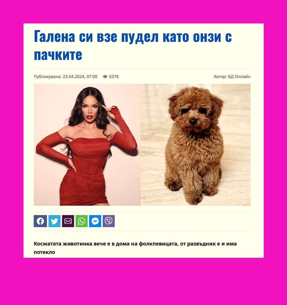 🐩 Живеем в епидемия. Епидемия от кафяви пудели